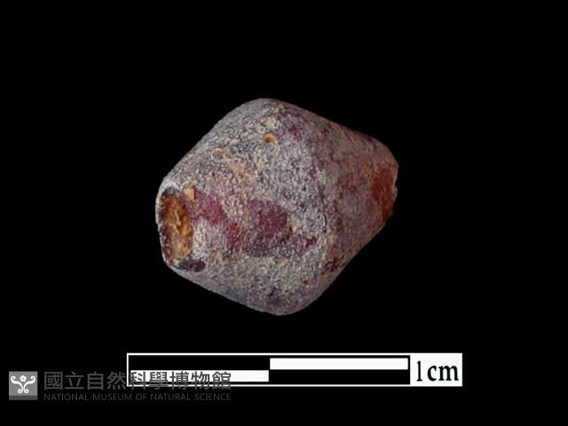 玻璃珠藏品圖，第3張