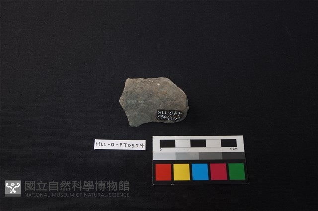 陶片藏品圖，第3張