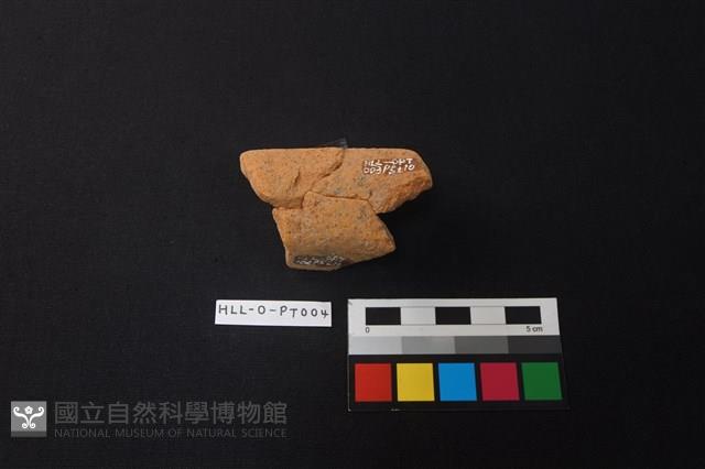 陶片藏品圖，第3張