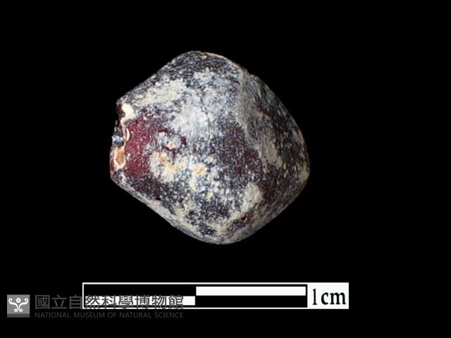 玻璃珠藏品圖，第3張