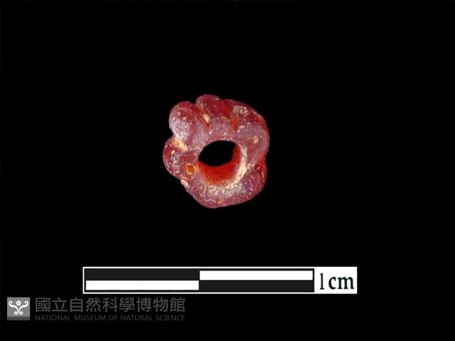 玻璃珠藏品圖，第3張