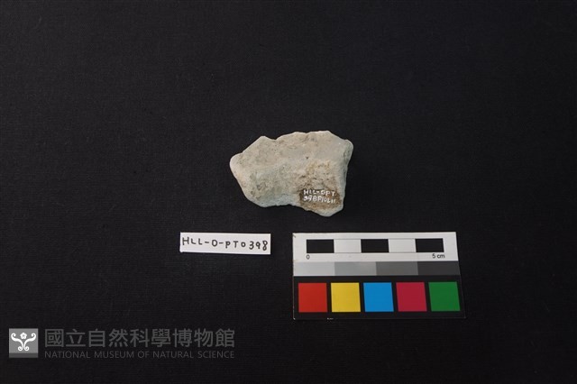 陶片藏品圖，第3張