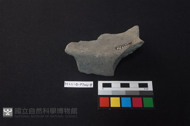 陶片藏品圖，第3張
