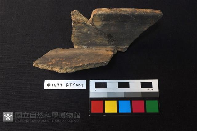 陶片藏品圖，第3張