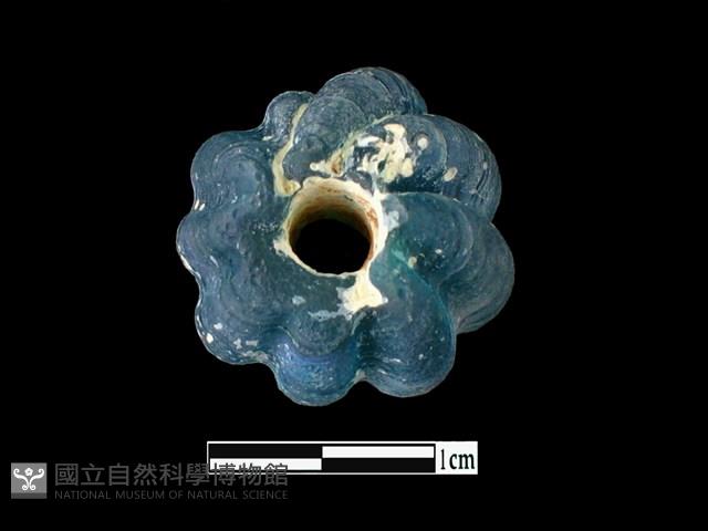 玻璃珠藏品圖，第4張