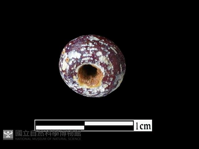 玻璃珠藏品圖，第2張