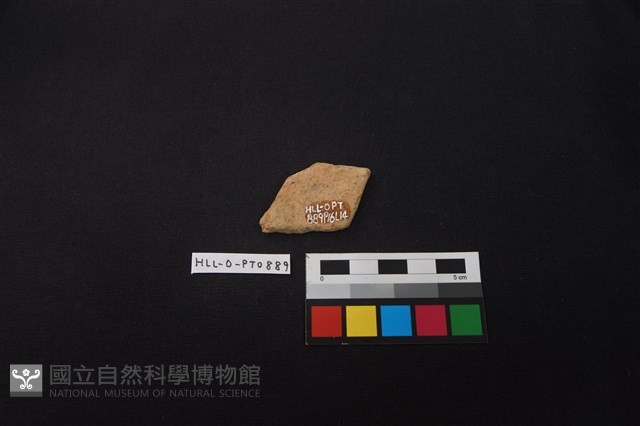 陶片藏品圖，第2張