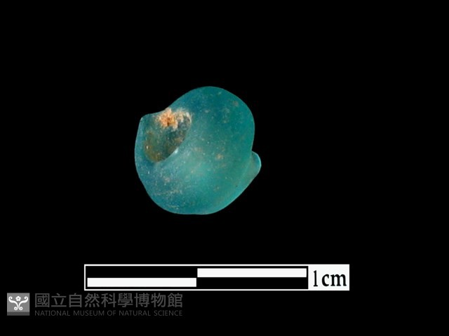 玻璃珠藏品圖，第2張