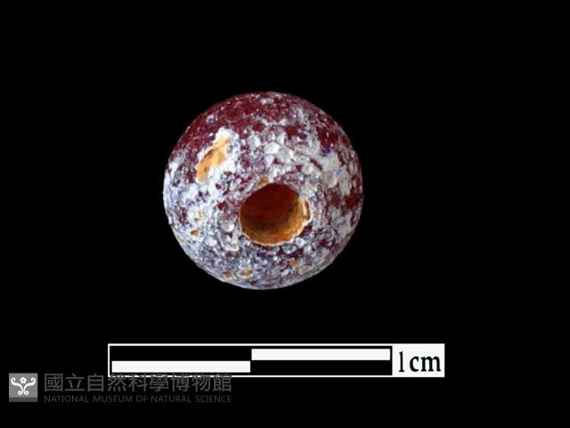 玻璃珠藏品圖，第2張