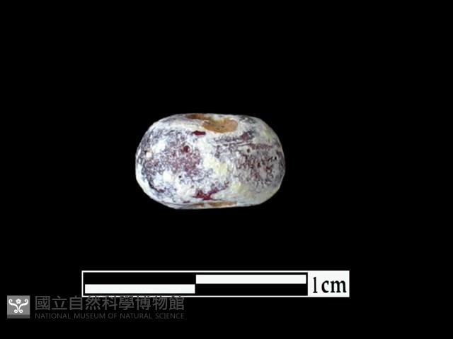 玻璃珠藏品圖，第2張