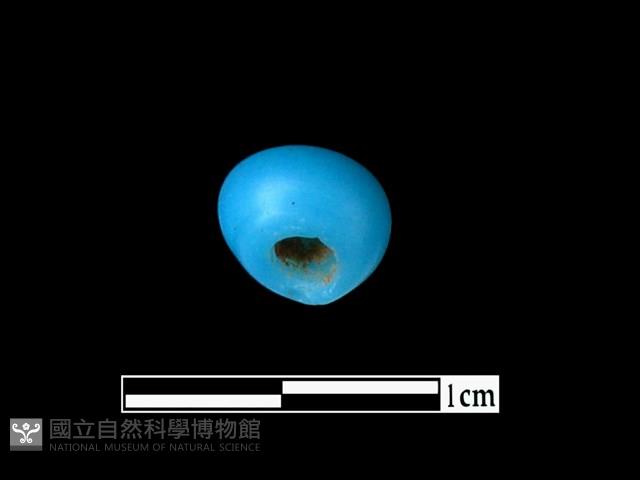 玻璃珠藏品圖，第2張