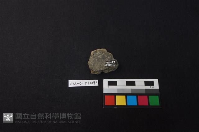 陶片藏品圖，第2張