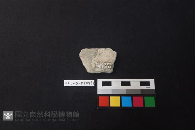 陶片藏品圖，第2張