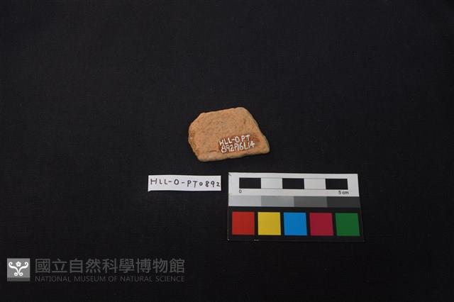 陶片藏品圖，第2張