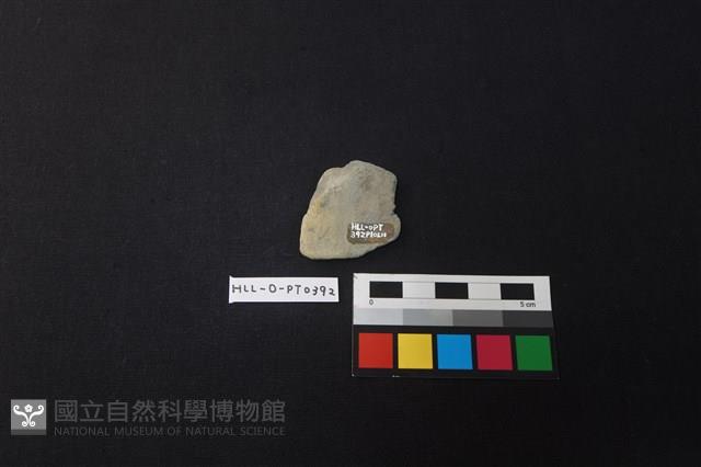 陶片藏品圖，第2張