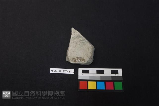 陶片藏品圖，第2張