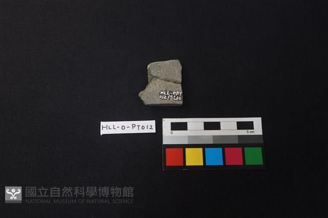 陶片藏品圖，第2張