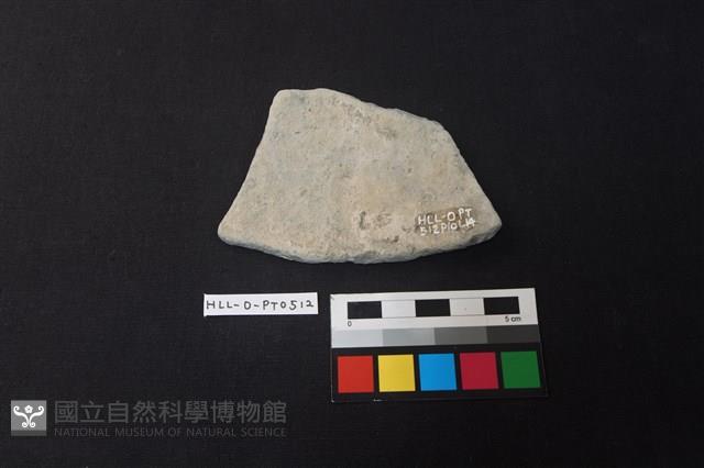 陶片藏品圖，第2張