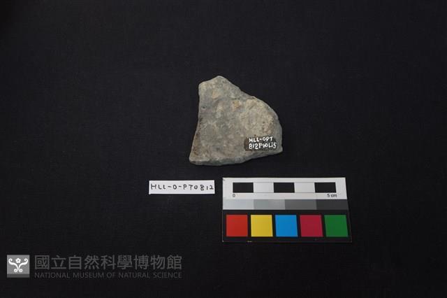 陶片藏品圖，第2張