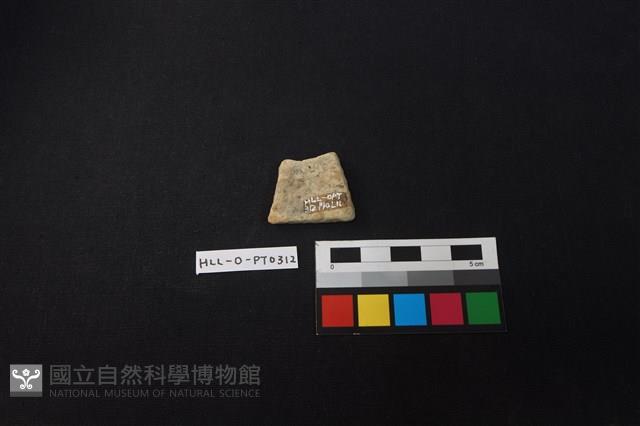 陶片藏品圖，第2張