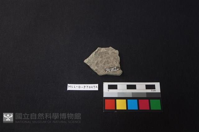 陶片藏品圖，第2張