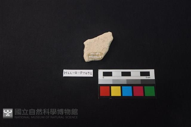 陶片藏品圖，第2張