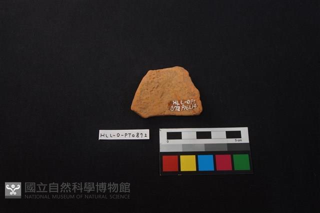 陶片藏品圖，第2張