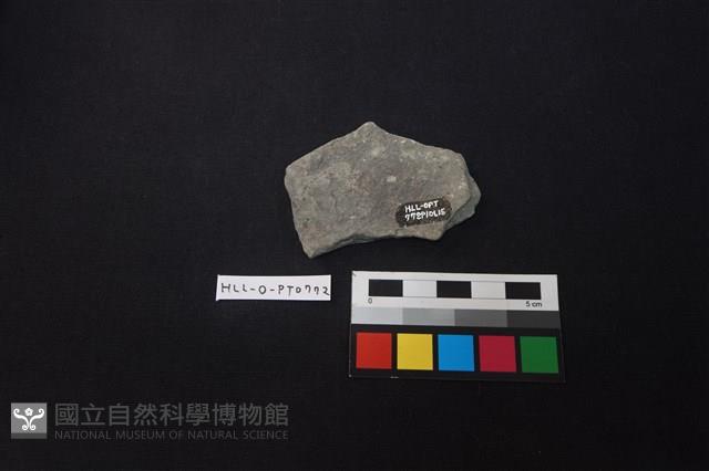 陶片藏品圖，第2張