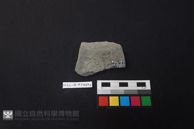 陶片藏品圖，第2張