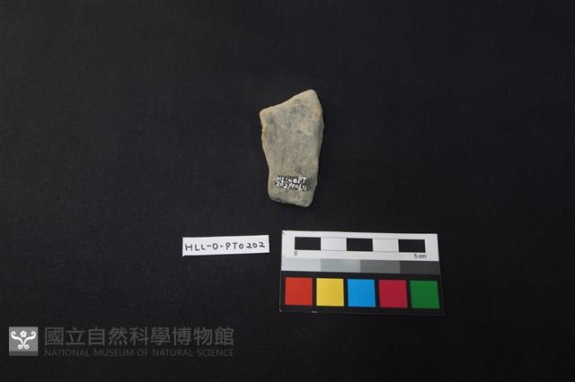 陶片藏品圖，第2張