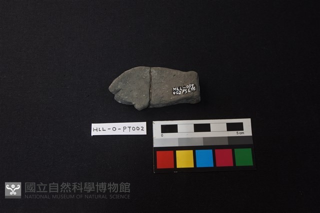 陶片藏品圖，第2張