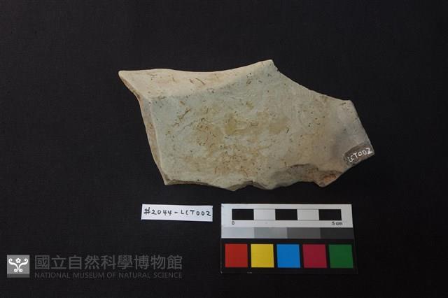 陶片藏品圖，第2張