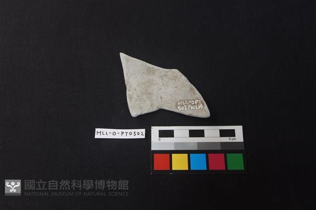 陶片藏品圖，第2張