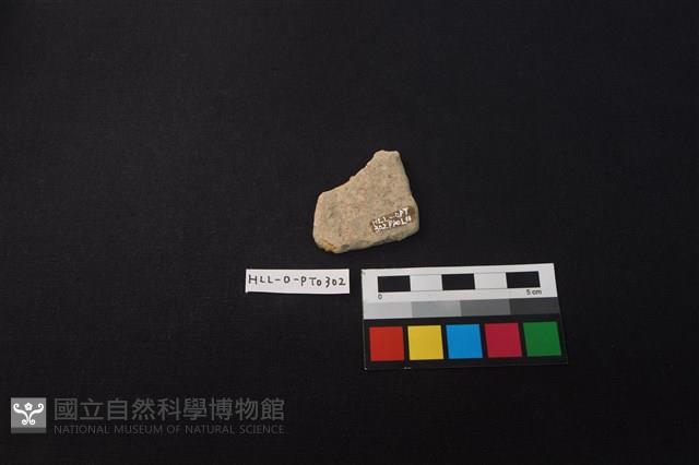 陶片藏品圖，第2張