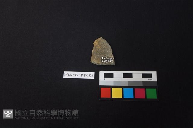 陶片藏品圖，第2張