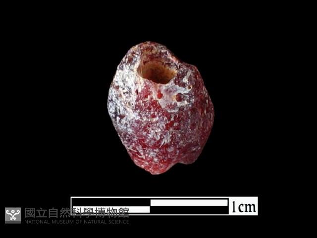 玻璃珠藏品圖，第2張