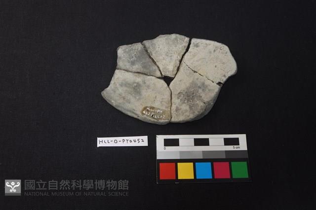 陶片藏品圖，第2張