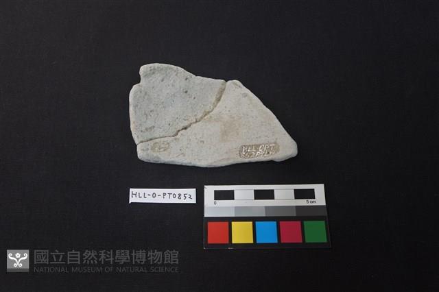 陶片藏品圖，第2張