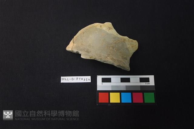 陶片藏品圖，第2張