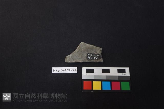 陶片藏品圖，第2張