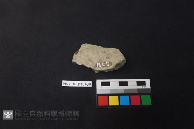 陶片藏品圖，第2張