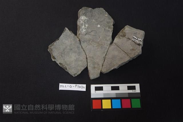 陶片藏品圖，第2張