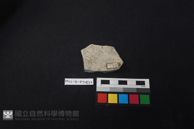 陶片藏品圖，第2張