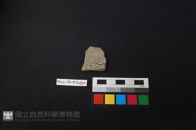 陶片藏品圖，第2張