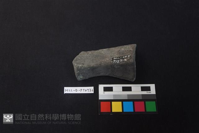 陶片藏品圖，第2張