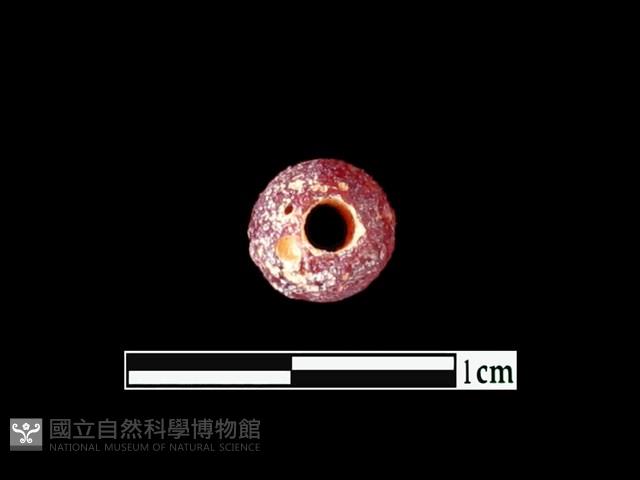 玻璃珠藏品圖，第2張