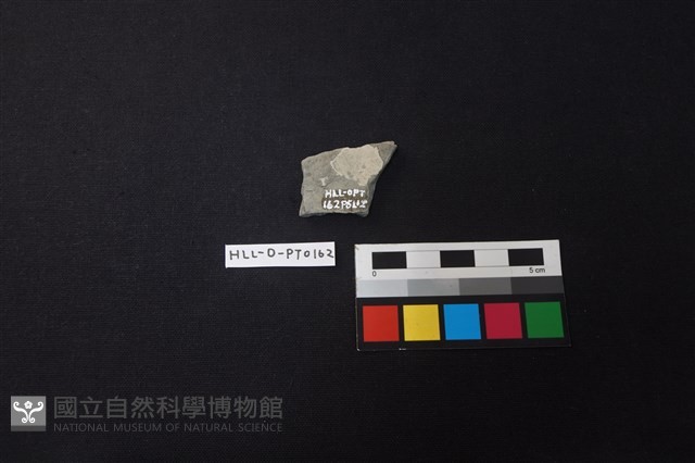 陶片藏品圖，第2張