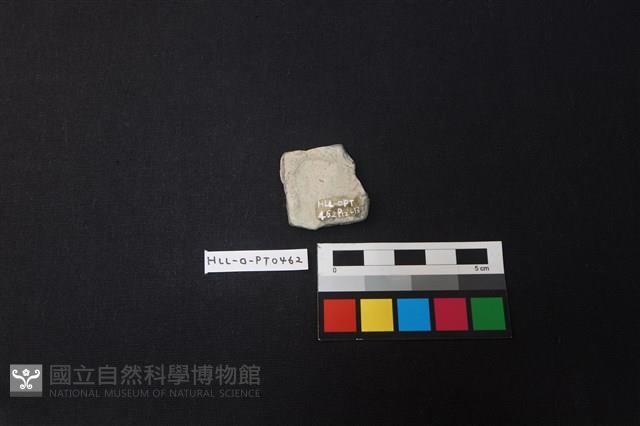 陶片藏品圖，第2張