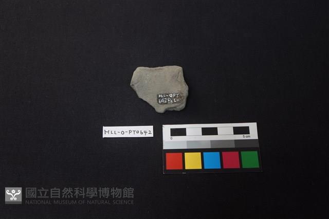 陶片藏品圖，第2張