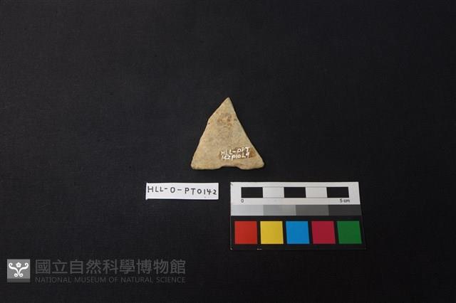 陶片藏品圖，第2張